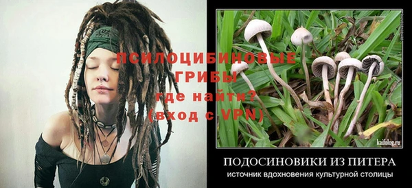 герыч Нижневартовск