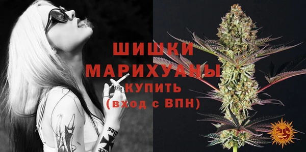 PSILOCYBIN Саяногорск