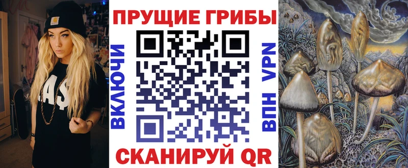 мега вход  закладки  Болгар  площадка телеграм  Галлюциногенные грибы ЛСД 