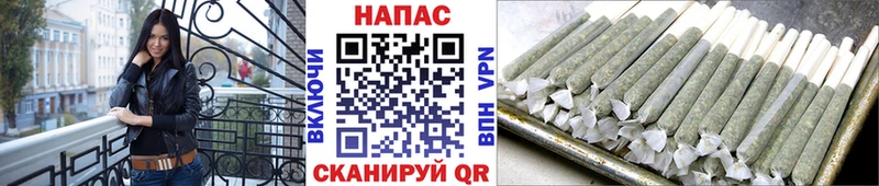 Конопля план Болгар